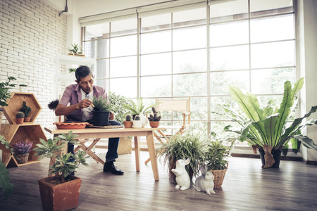 Happy retired Asian man is planting houseplant at home as his hobby for mature leisure activity concept.