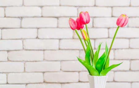 Tulip flower on white vase on white birck wall background copy space.の写真素材