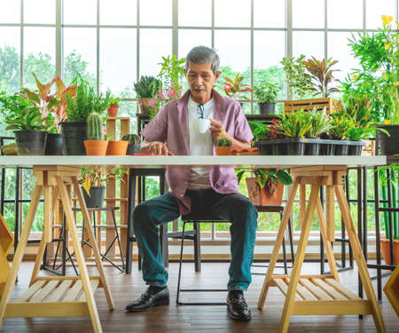 Senior Asian man is having morning coffee while reading digital tablet in his houseplant garden at home.の写真素材