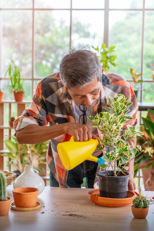 Senior Asian man is watering houseplant in his home gardening small business plant workshop.の写真素材