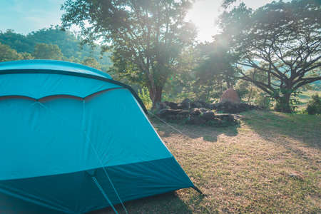 Camping site with Blue tent and Forest in the background.の写真素材