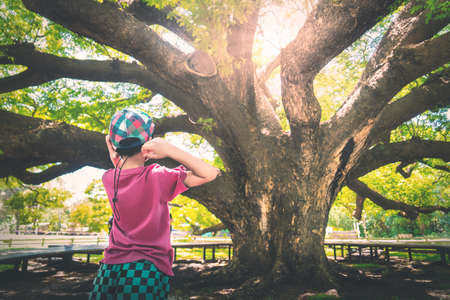 Boy taking photo with a large old tree with sunshinein Kanchanaburi Thailand. For Enviromental concept.の写真素材