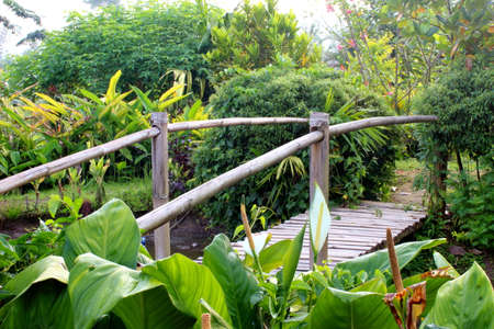 Bamboo bridge in a flower garden.の写真素材
