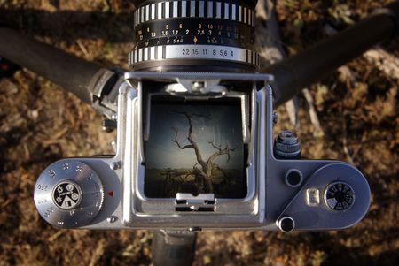 Middle format camera set up for landscape shootの写真素材
