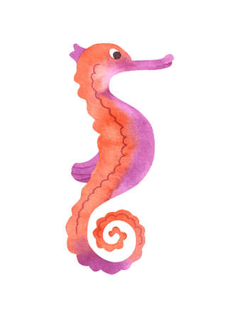 Cute colorful horse fish isolated on white backgound for kids. Ocean dayの写真素材