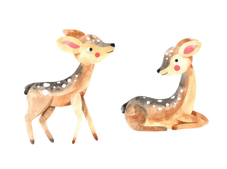 Watercolor cute little deer illustration set. Forest wildlife animal fawn on whiteの写真素材