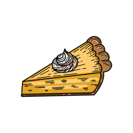 Pumpkin pie slice vector sketch illustration for Thanksgiving designのイラスト素材