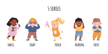 Children five senses consept. Sense of sight, touch, hearing, smell, taste vector illustration on white.のイラスト素材