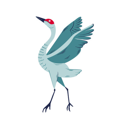 dancing cute cranes bird vector illustration. Red crowned crane illustrationのイラスト素材