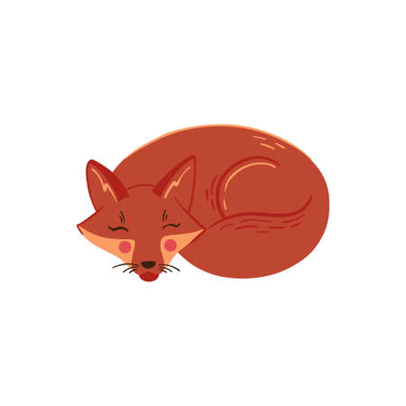 Cute sleeping fox vector illustration. Fall season woodland animal clip art isolated on whiteのイラスト素材