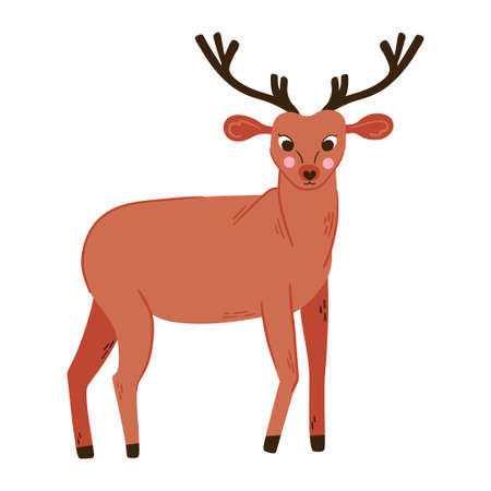 Deer vector illustration. Reindeer cute woodland animal isolated object isolated on whiteのイラスト素材