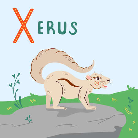 Cute xerus vector illustration. Ground squirrel character on white background, isolated object.のイラスト素材