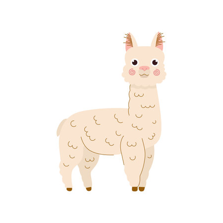 Llama cartoon illustration. Alpaca vector illustration isolated on white background.for children, kids designe in flatのイラスト素材