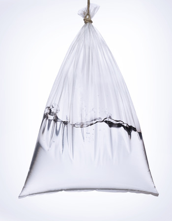 Empty Plastic Bag with Waterの写真素材