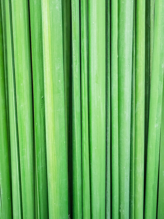 Green leaf background abstractの写真素材