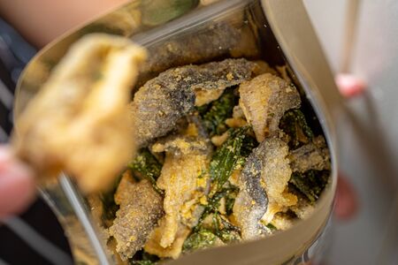 Salted Egg Fish Skinの写真素材