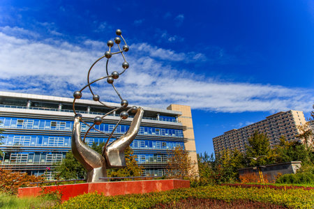 Beijing University 