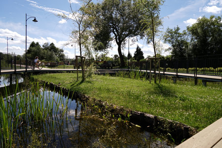 park in Kartuzyの写真素材