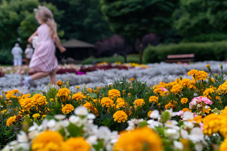 Beautiful flowerbed in the garden with a girl in the backgroundの写真素材
