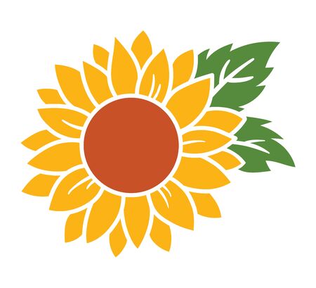 Yellow sunflower with green leaves vector illustration.のイラスト素材