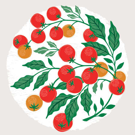 Vector illustration of cherry tomatoes in summer for Wedding, anniversary, birthday and party. Design for banner, poster, card, invitation and scrapbookのイラスト素材