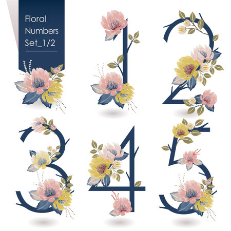 Vector illustration of floral numbers collection. A set of beautiful flowers and numbers for wedding invitations and birthday cardsのイラスト素材