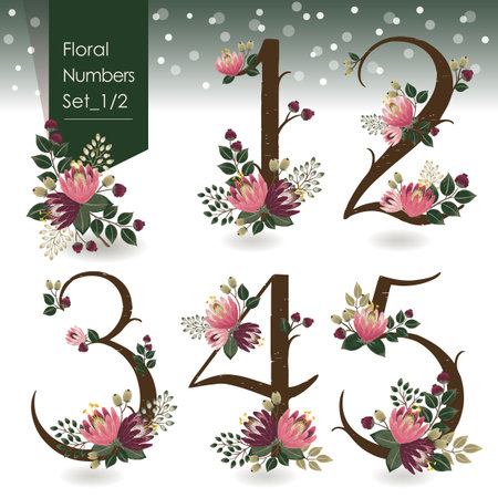 Vector illustration of floral numbers collection in winter. A set of beautiful flowers and numbers for wedding invitations & birthday cards & Merry Christmas cardsのイラスト素材