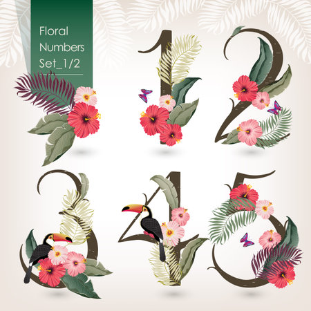 Vector illustration of floral numbers collection. A set of beautiful flowers and numbers wedding, anniversary, birthday and party. Design for banner, poster, card, invitation, brochure and scrapbookのイラスト素材