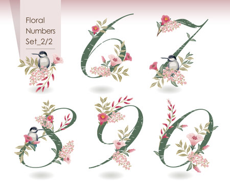 Vector illustration of floral numbers collection in spring. A set of beautiful flowers and numbers for wedding, invitations and birthday cardsのイラスト素材