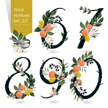 Vector illustration of floral numbers collection. A set of flowers, fruits and numbers for wedding, invitations and birthday cardsのイラスト素材