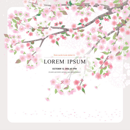 Vector editorial design frame of Korean spring scenery with cherry trees in full bloom. Design for social media, party invitation, Frame Clip Art and Business Advertisementのイラスト素材