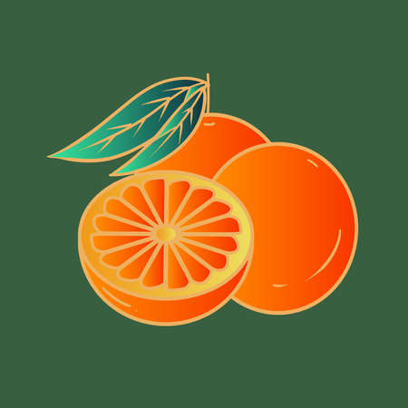 Hand drawn cartoon orange illustration designのイラスト素材