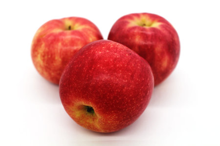 apple fruit