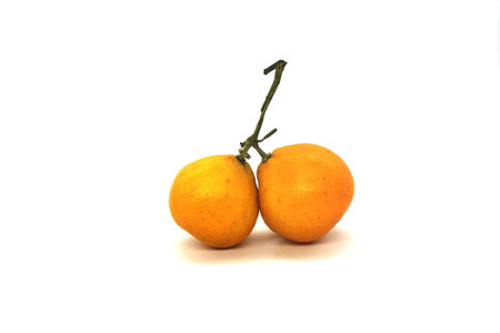 fruit orange