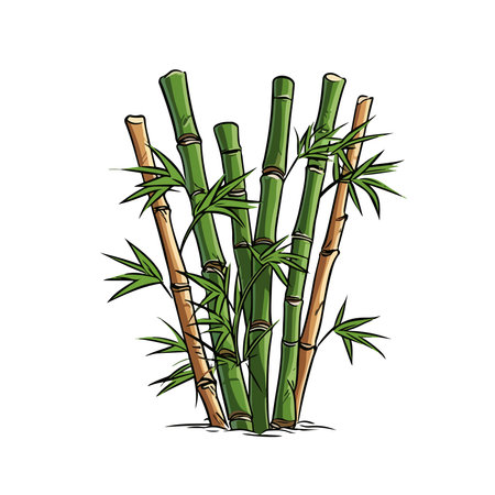 Bamboo. Vector illustration. Isolated on a white background.のイラスト素材