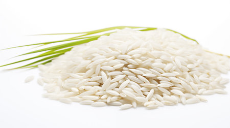 Rice and green onion on a white background, close-upの素材
