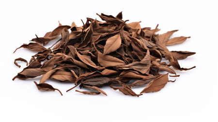 Pile of brown tobacco leaves isolated on white background. Close up.の素材