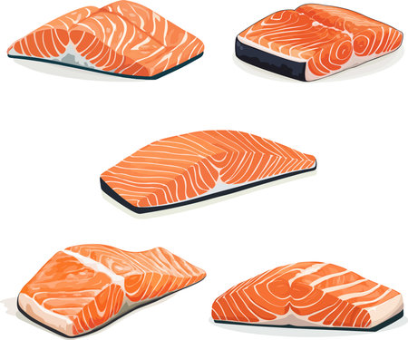 Illustration of a set of fresh salmon fillets on a white backgroundのイラスト素材