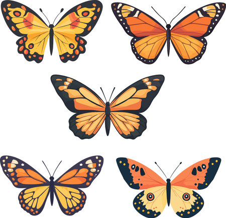 Butterflies collection. Vector illustration. Isolated on white background.のイラスト素材