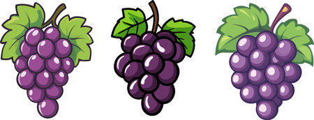 Grapes with leaves. Vector illustration in a cartoon style.のイラスト素材