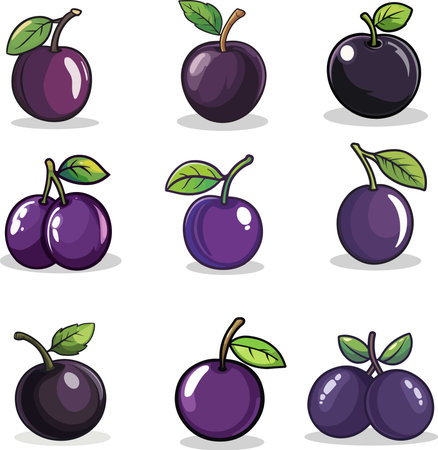 Set of black plums isolated on white background. Vector illustration.のイラスト素材