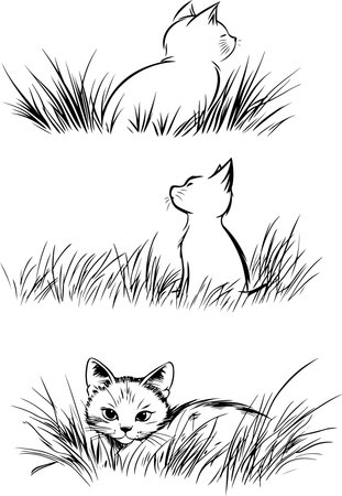 set of black and white cats in the grass, vector illustration.のイラスト素材