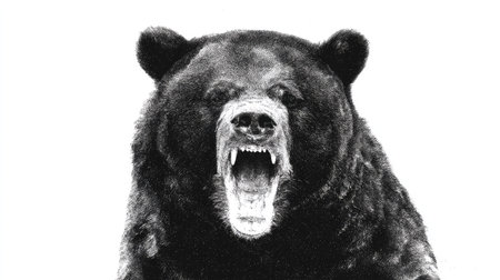 A close-up portrait reveals a black bear with its mouth wide open, teeth bared. The grayscale image highlights textures and details of fur and face. The composition suggests a studio setting or isolated rendering. Suitable for various editorial or commercial applications, the image conveys power and animal behavior.の素材