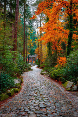 A stone path meanders through a colorful forest during autumn. The scene features a variety of green, orange, and brown foliage, with a mix of textures and natural light. This image captures a sense of depth and offers potential for use in travel, nature, or seasonal-themed projects.の素材