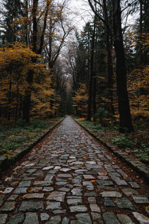 A cobblestone pathway leads into a dense forest, flanked by tall trees. The scene is rich with autumn colors, dominated by browns and yellows. Warm sunlight filters through the foliage, creating a tranquil atmosphere. The image can be used for various purposes, including illustrating articles about nature, travel, or seasonal changes.の素材