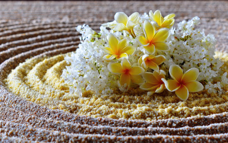 A detailed close-up presents a floral arrangement. The composition features yellow and white flowers set upon a textured surface with circular patterns. The lighting suggests a natural setting, emphasizing the textures and details. This image is suitable for various editorial and commercial applications.の素材
