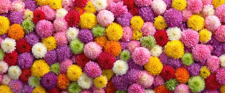 An overhead shot showcases a collection of diverse flowers, exhibiting a spectrum of colors. The composition features a full frame of floral elements. The flowers offer a range of textures and hues, suitable for uses in design and editorial projects. The image evokes a feeling of natural beauty.の素材