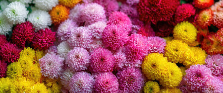 This image presents a dense arrangement of numerous flowers, displaying a spectrum of colors including yellow, pink, red, and white. The composition showcases a close-up perspective, highlighting the texture and details of the blossoms. The photograph might be suitable for various applications, such as illustrating articles or enhancing marketing materials.の素材