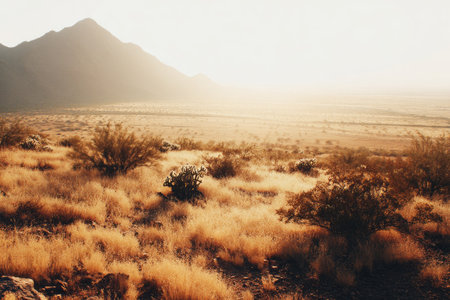 A wide landscape displays arid terrain and mountains, illuminated by warm sunlight. The image features a natural environment of dry vegetation, capturing the essence of a remote location. Suitable for conveying themes of travel, environment, and wilderness in editorial or commercial applications.の素材