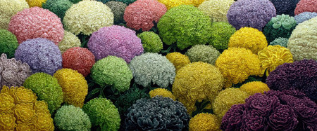 A collection of numerous colorful spherical shapes is displayed. Various hues such as pink, yellow, green, and purple are visible. The composition is close up, creating a dense, textured pattern. This image could be utilized in a variety of commercial projects, including design backgrounds and decorative elements.の素材